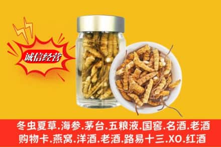 兴安盟乌兰浩特回收散虫草