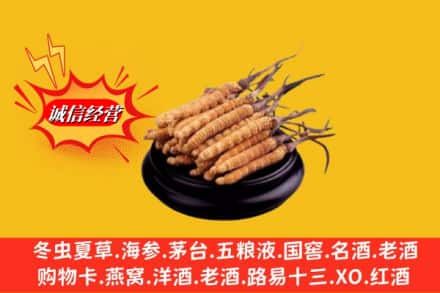 兴安盟乌兰浩特回收虫草多少钱每克